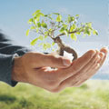 1ª semana de educação ambiental