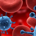 Última fase da vacinação contra a gripe H1N1 em andamento 11/05/2010