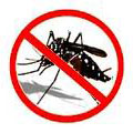 Brasil terá vacina contra a dengue em até quatro anos