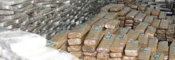 Polícia prende oito e apreende mais de 1t de maconha em GO