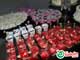 TUDOIN | Niver Ana Luiza 2010