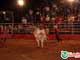 TUDOIN | Festa Peão Itauçu 17/09/2010