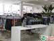 TUDOIN | Gavião Mega Store 2010