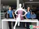 TUDOIN | Niver Gavião Mega Store