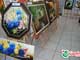 TUDOIN | Abertura da 16ª Exposição de Artes Plásticas de Inhumas