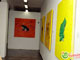 TUDOIN | Exposição Híbrido/Anfíbio