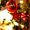 Feliz Natal e um ano novo de muito sucesso! Feliz Natal e um ano novo de muito sucesso!