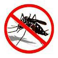 Brasil terá vacina contra a dengue em até quatro anos Brasil terá vacina contra a dengue em até quatro anos