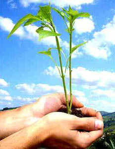Projeto Projeto