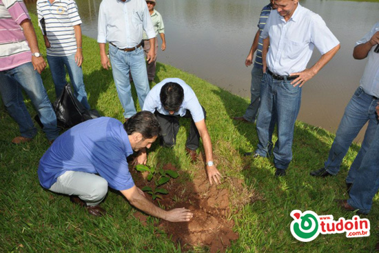 Novo projeto lançado: “Cidade menos quente e com mais árvores” Novo projeto lançado: “Cidade menos quente e com mais árvores”