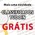 Classificados TUDOIN