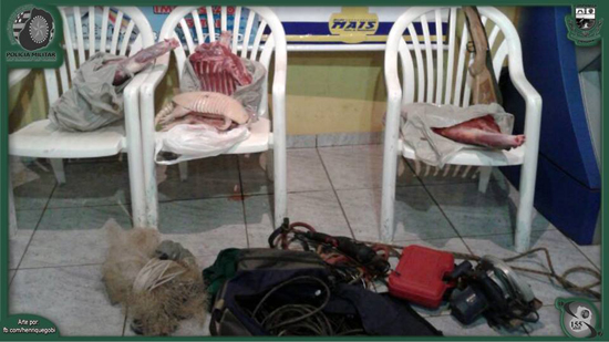 Policiais Apreendem Suspeitos de Furto em Zona Rural Policiais Apreendem Suspeitos de Furto em Zona Rural