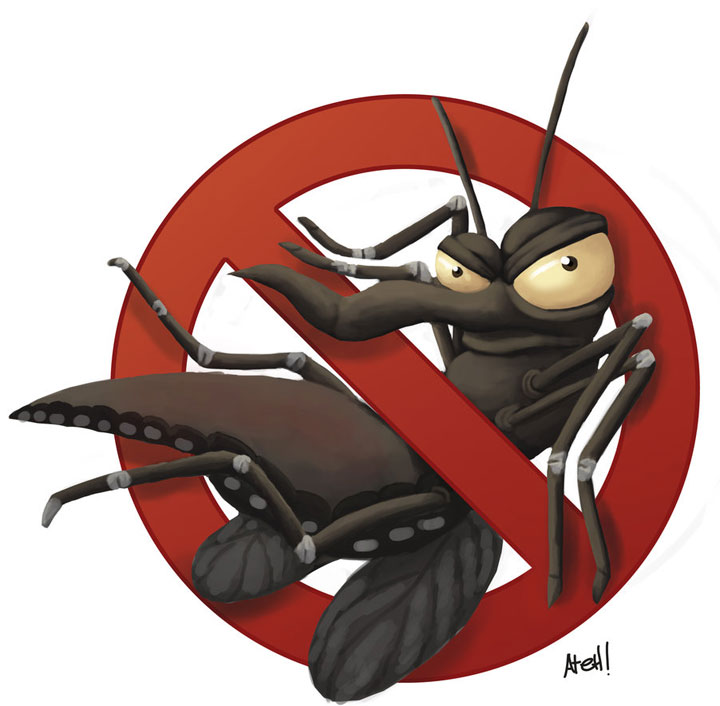 Lei que aumenta multa para imóveis com focos do Aedes entra em vigor Lei que aumenta multa para imóveis com focos do Aedes entra em vigor